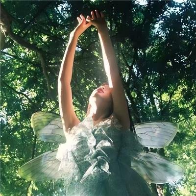 刘德华中国巡回演唱会上海站2008